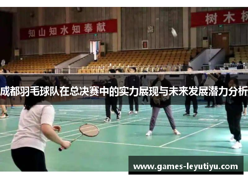 成都羽毛球队在总决赛中的实力展现与未来发展潜力分析