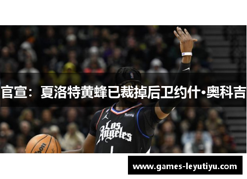 官宣：夏洛特黄蜂已裁掉后卫约什·奥科吉
